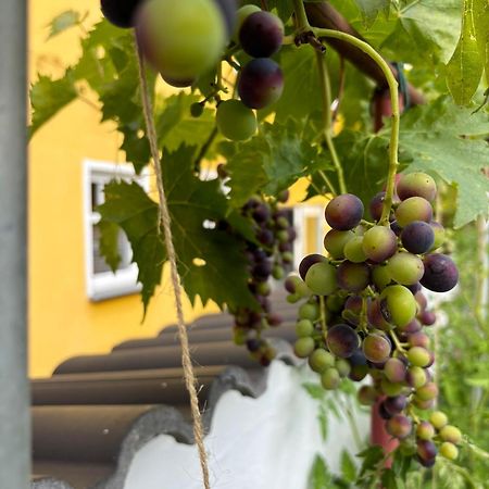 Haus Rheinleben Apartment Boppard Exterior foto